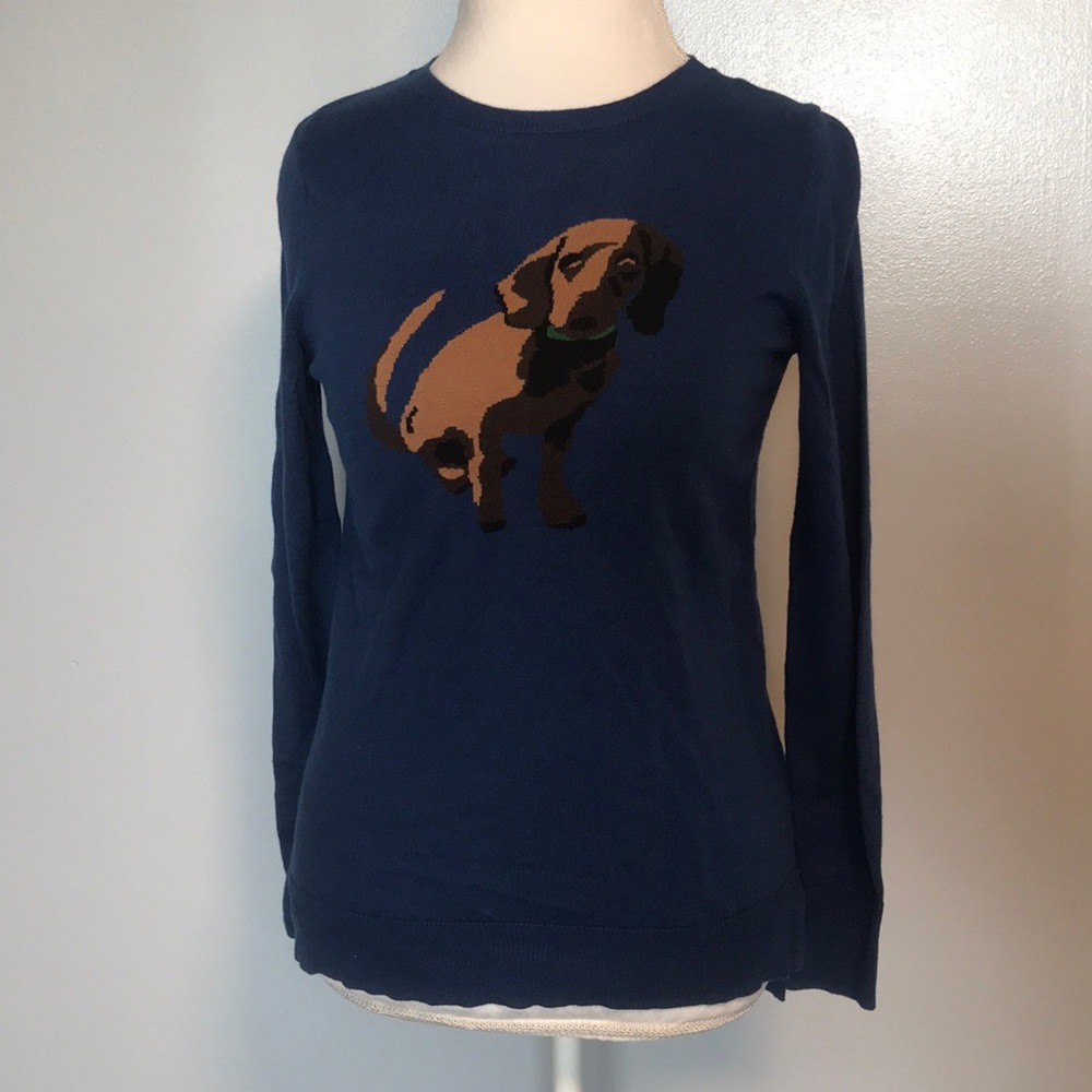 The Limited Dog Sweater